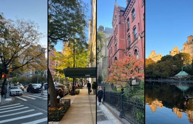 four fall scenes in new york city