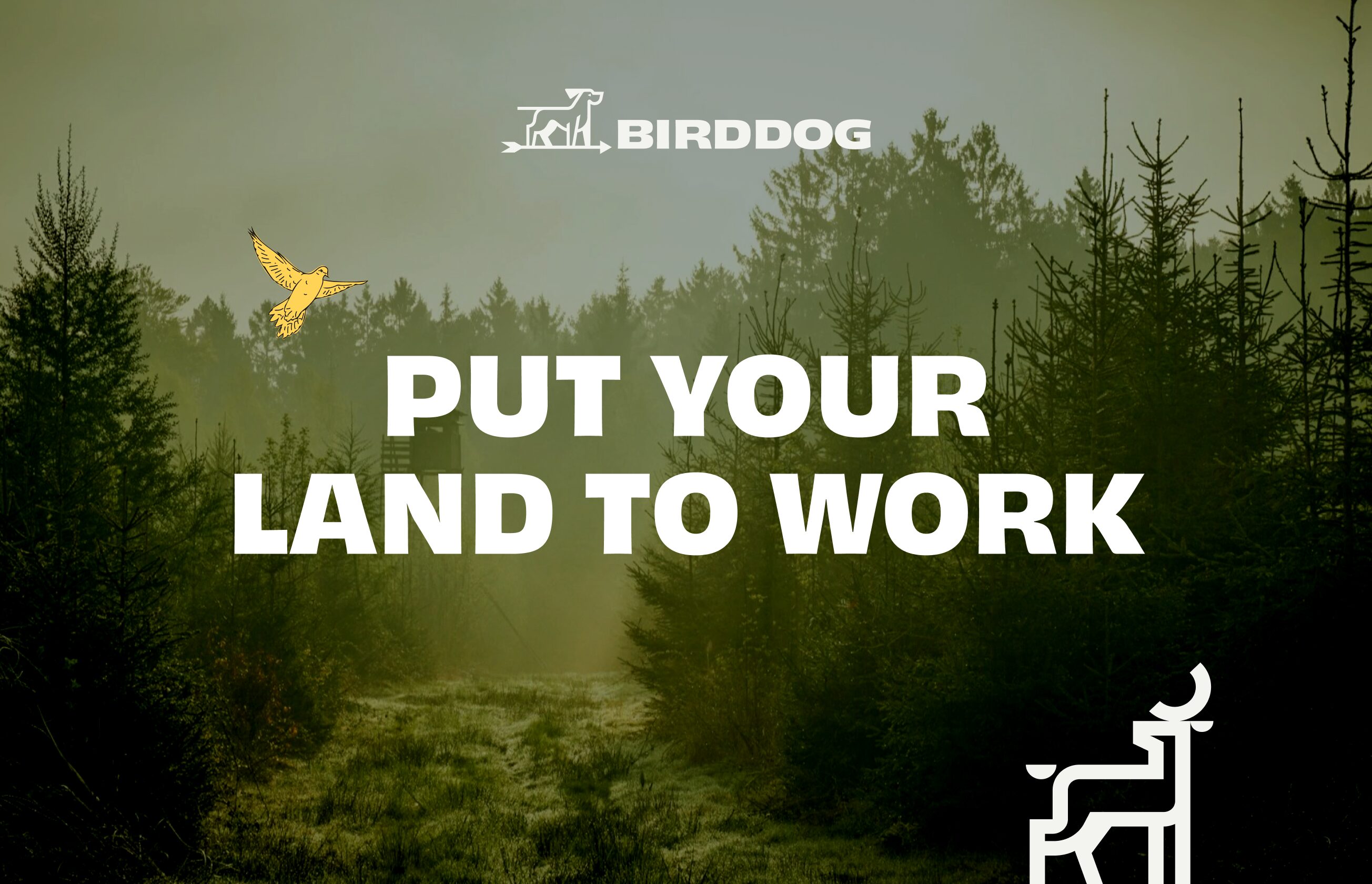 A forested landscape with mist and a hunting stand in the background. The bold white text in the center reads, 'PUT YOUR LAND TO WORK.' Above the text is the BirdDog logo, featuring a stylized dog with an arrow, along with the brand name 'BIRDDOG.' A small illustrated yellow bird is flying on the left side, while a minimalist deer icon is placed in the bottom right corner.