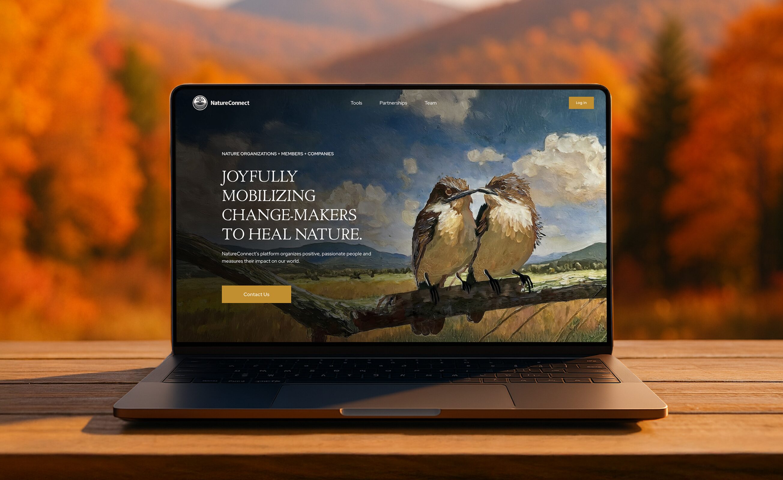 Laptop displaying Innovatemap-designed NatureConnect homepage featuring a painted illustration of two birds, set against a vibrant autumn landscape, promoting the mission to mobilize changemakers for nature restoration.